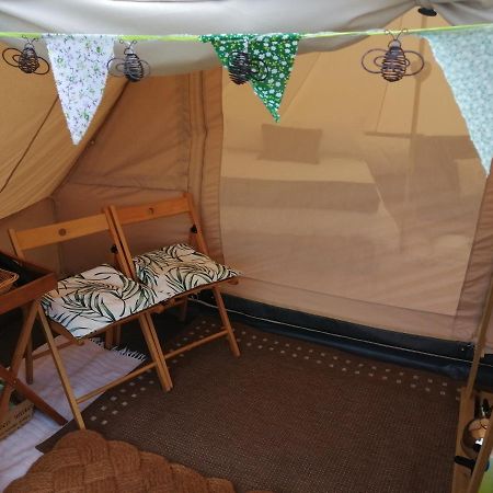 Coed Y Brenin Retreat - Bell Tent Glamping Near Aberaeron Ciliau-Aeron Exteriör bild