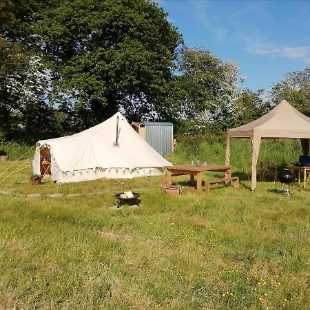 Coed Y Brenin Retreat - Bell Tent Glamping Near Aberaeron Ciliau-Aeron Exteriör bild