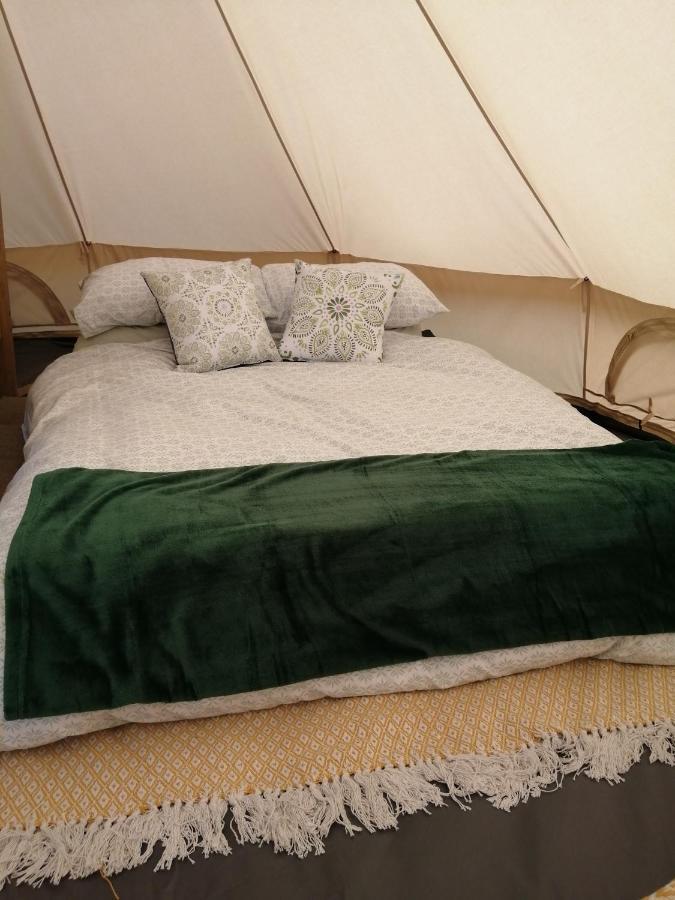 Coed Y Brenin Retreat - Bell Tent Glamping Near Aberaeron Ciliau-Aeron Exteriör bild