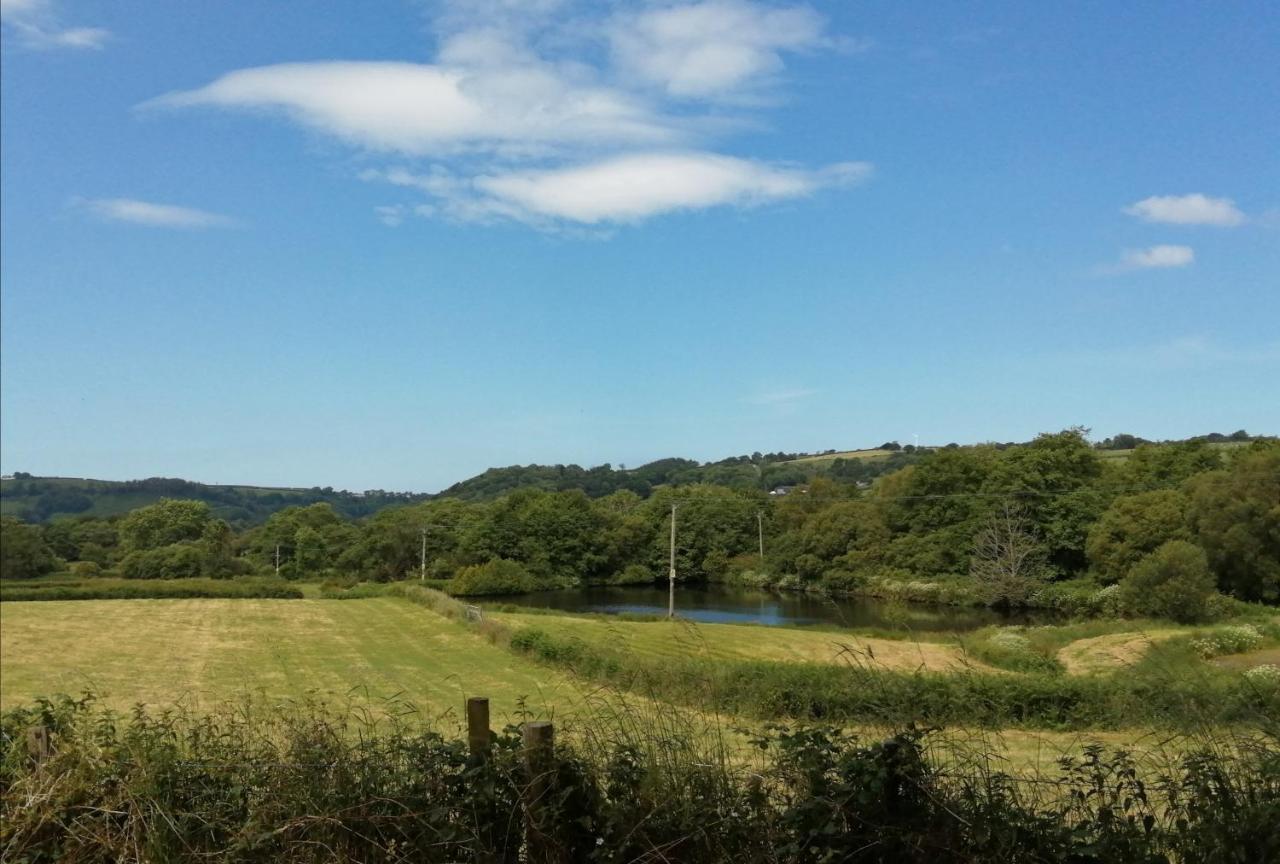 Coed Y Brenin Retreat - Bell Tent Glamping Near Aberaeron Ciliau-Aeron Exteriör bild