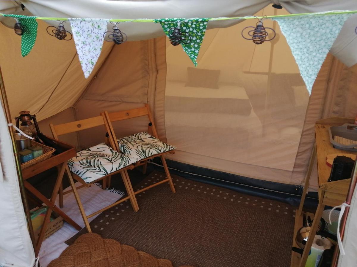 Coed Y Brenin Retreat - Bell Tent Glamping Near Aberaeron Ciliau-Aeron Exteriör bild