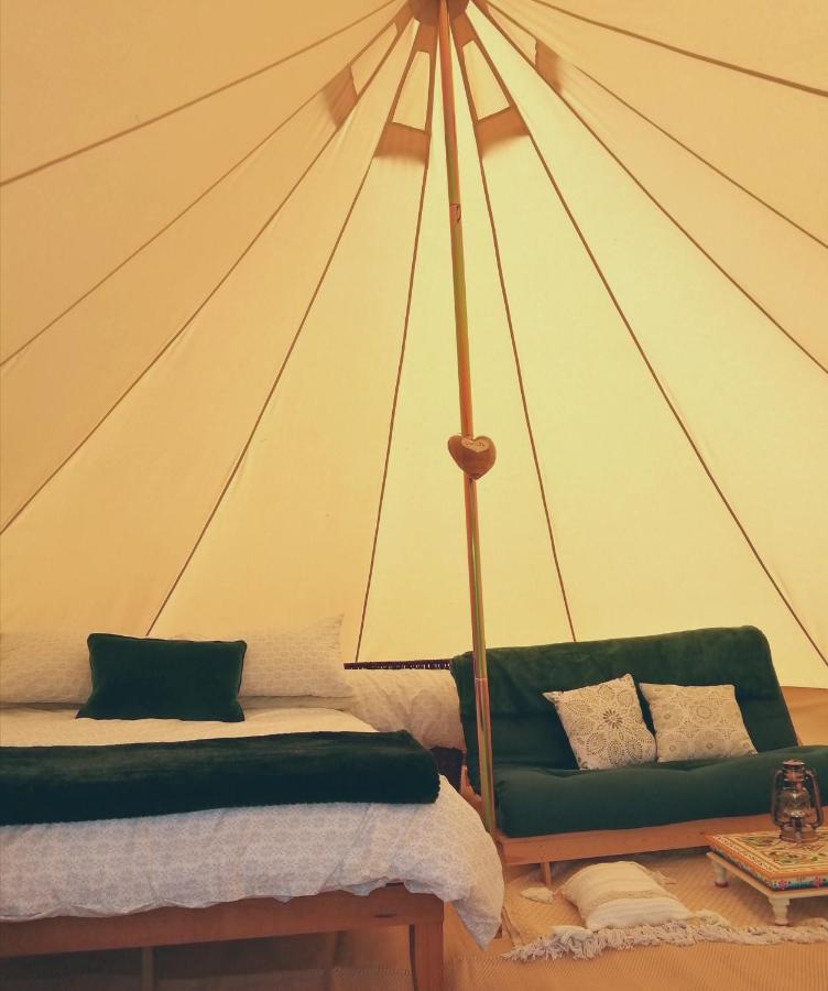 Coed Y Brenin Retreat - Bell Tent Glamping Near Aberaeron Ciliau-Aeron Exteriör bild