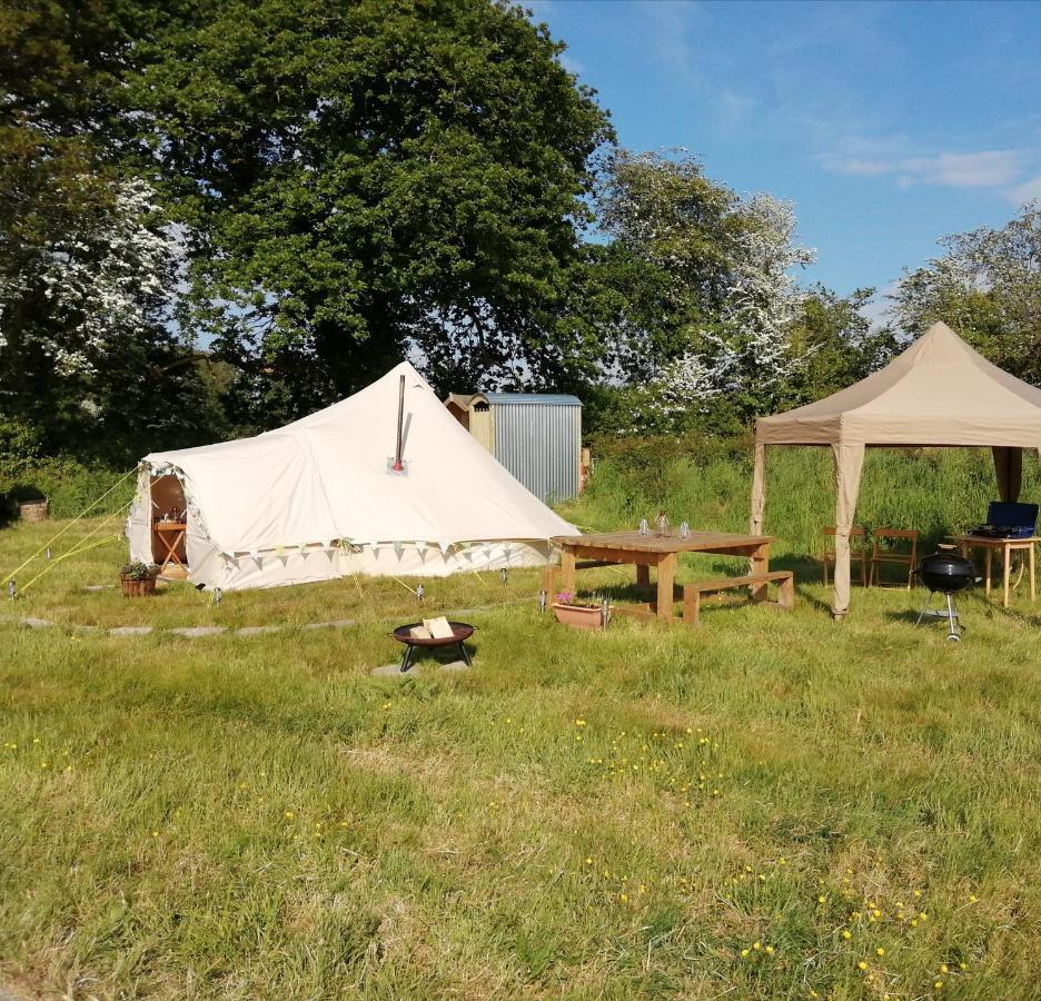 Coed Y Brenin Retreat - Bell Tent Glamping Near Aberaeron Ciliau-Aeron Exteriör bild