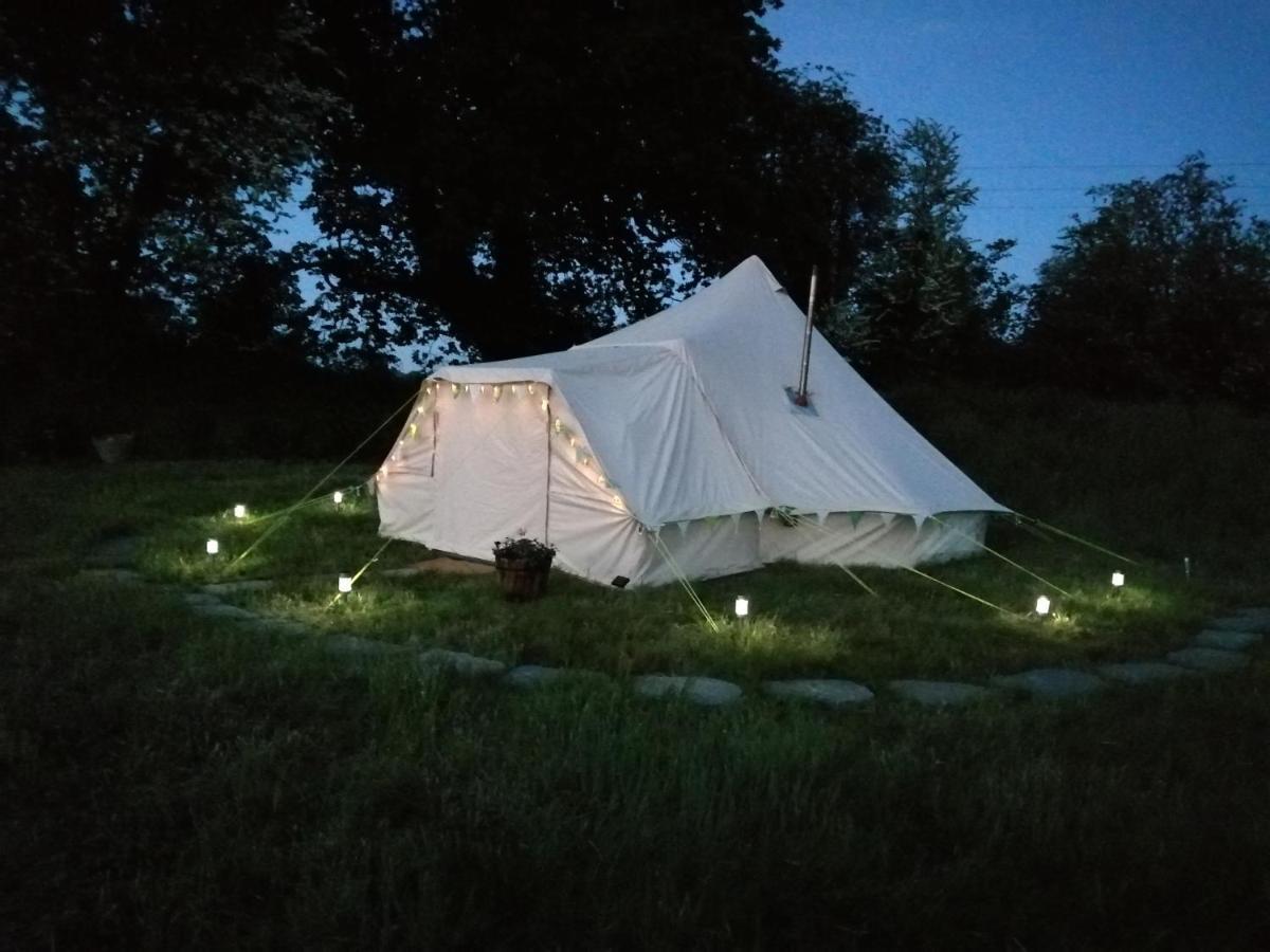 Coed Y Brenin Retreat - Bell Tent Glamping Near Aberaeron Ciliau-Aeron Exteriör bild