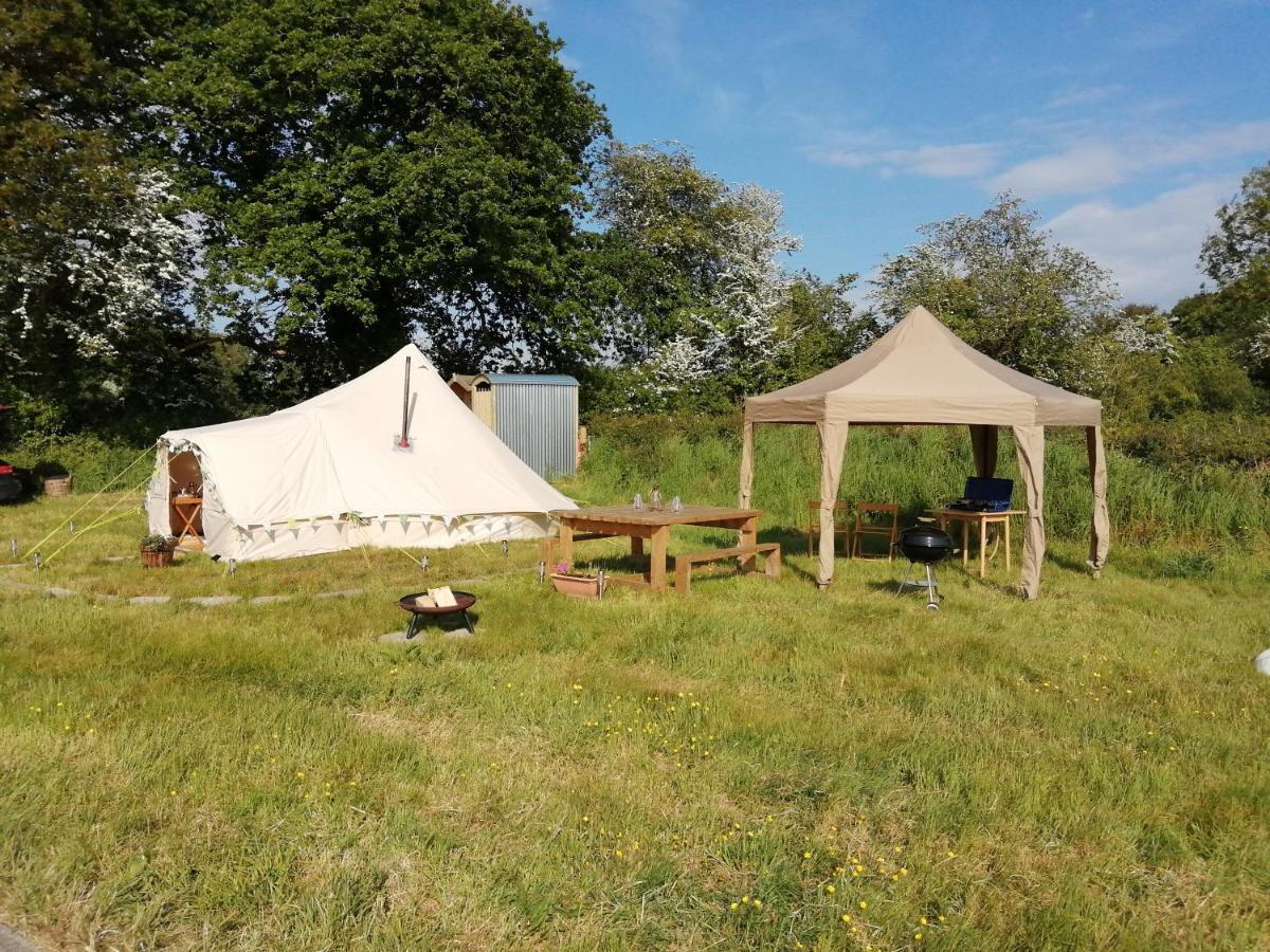 Coed Y Brenin Retreat - Bell Tent Glamping Near Aberaeron Ciliau-Aeron Exteriör bild
