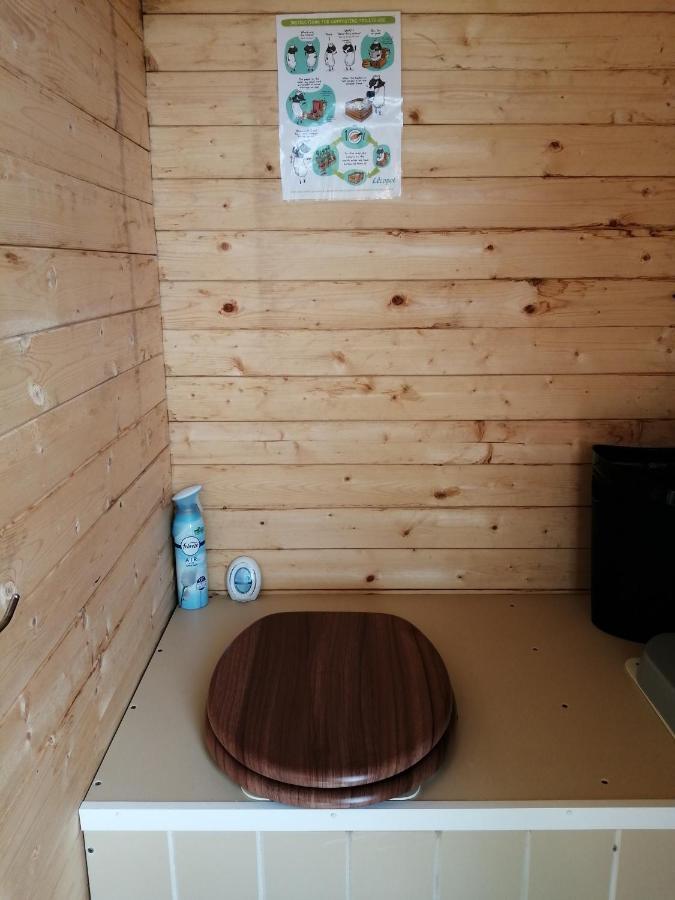 Coed Y Brenin Retreat - Bell Tent Glamping Near Aberaeron Ciliau-Aeron Exteriör bild