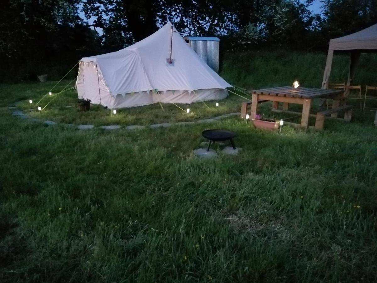 Coed Y Brenin Retreat - Bell Tent Glamping Near Aberaeron Ciliau-Aeron Exteriör bild
